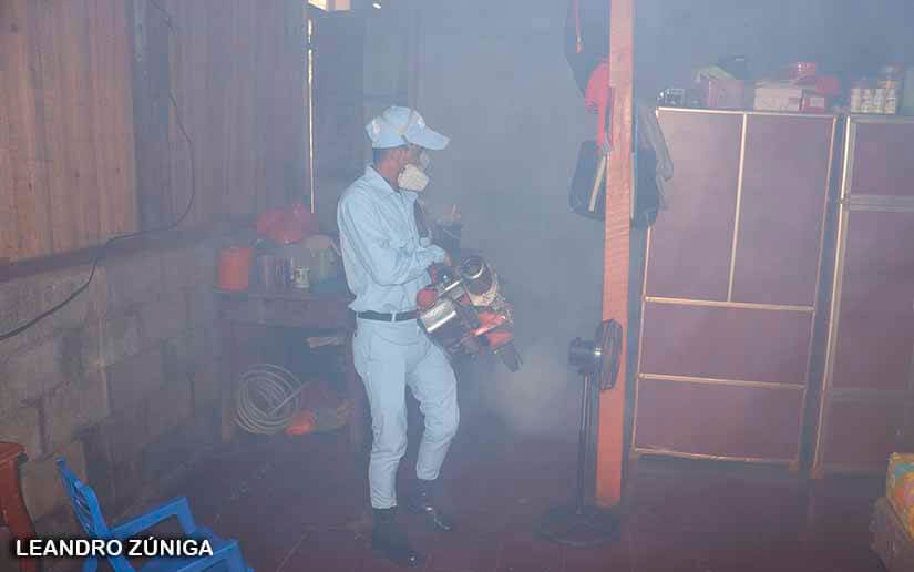 minsa